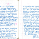 Illustration for article titled Teenage Wasteland: Your Old Diaries Are Awkward, Awe-Inspiring